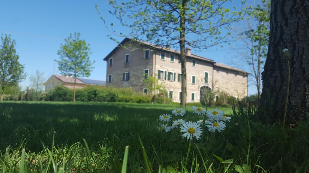 Agriturismo Il Brugnolo Scandiano Eksteriør billede