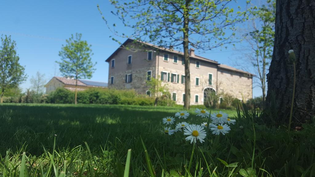 Agriturismo Il Brugnolo Villa Scandiano Eksteriør billede