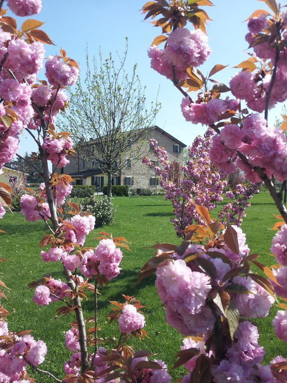 Agriturismo Il Brugnolo Scandiano Eksteriør billede